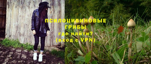 таблы Инта