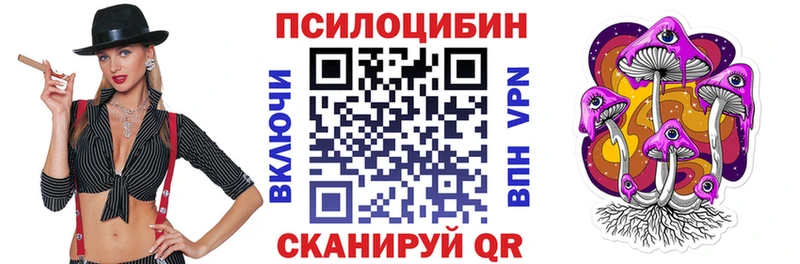 Псилоцибиновые грибы Cubensis  ОМГ ОМГ   Орехово-Зуево 
